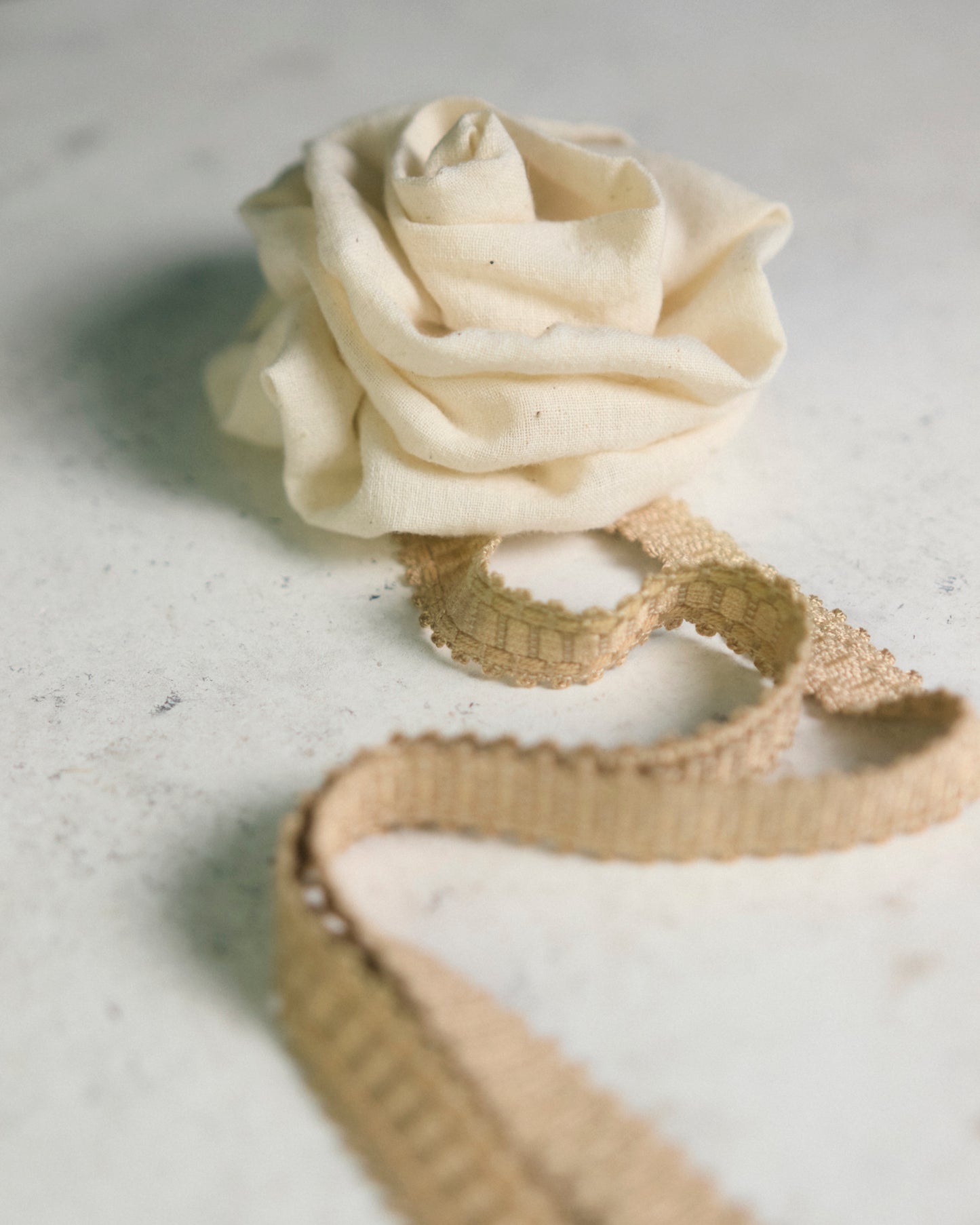 Fleur . Thé de rose