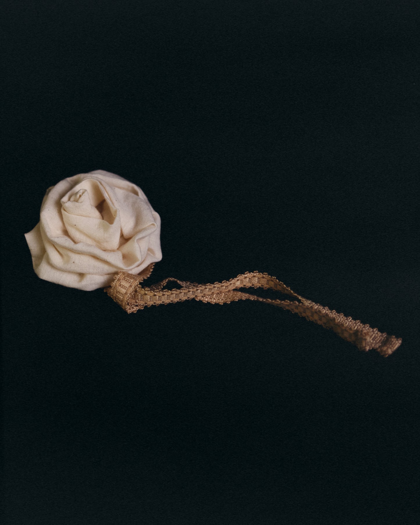 Fleur . Thé de rose